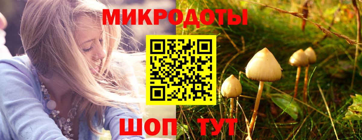 Галлюциногенные грибы Psilocybine cubensis Тайшет